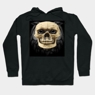 owl wearing skull mask Hoodie